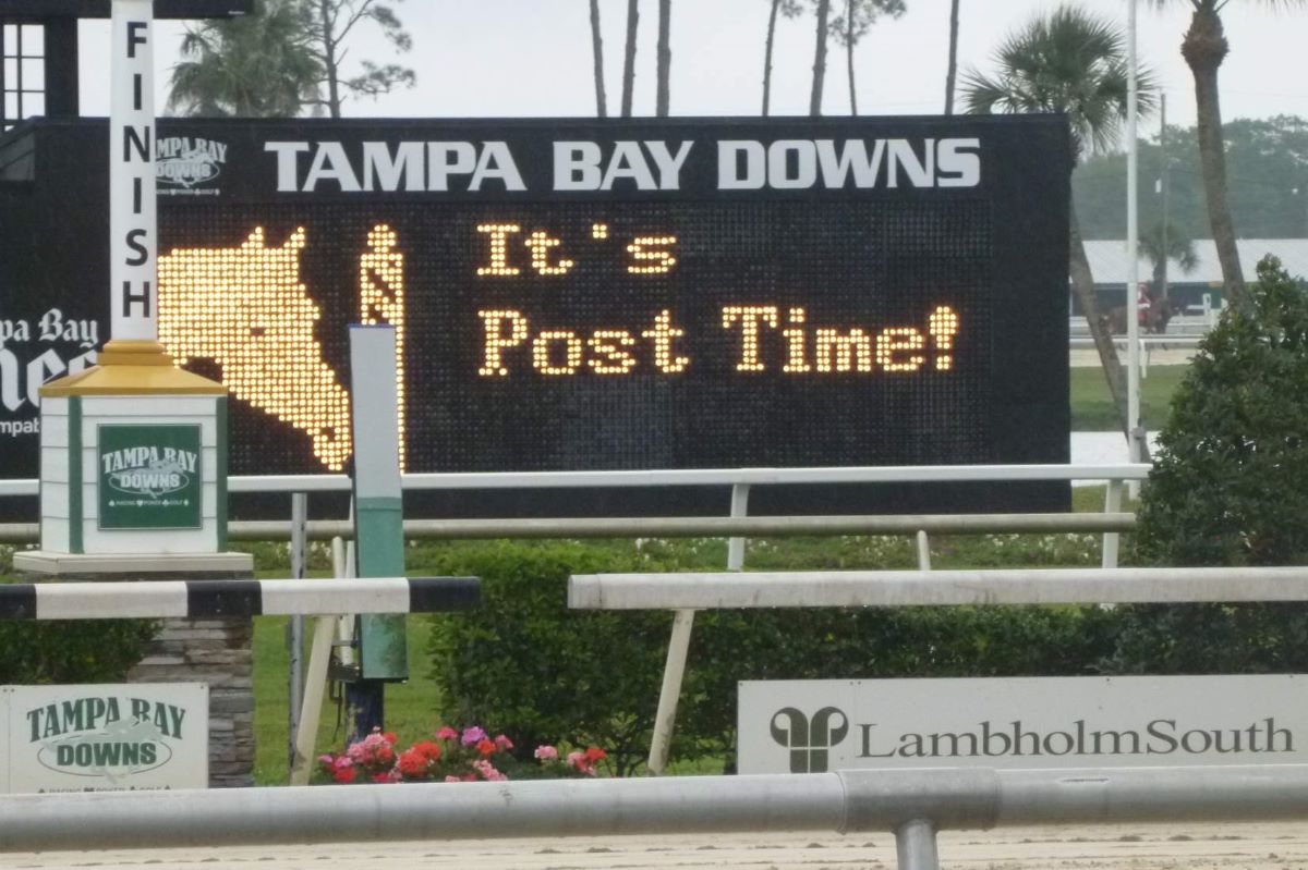 Tampa Bay Downs Sun Dec 27th Selections