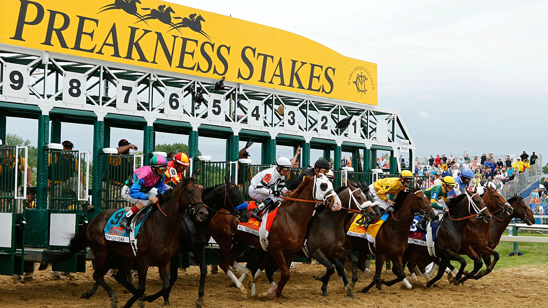 Preakness 2024 Final Results Valry Jacinthe