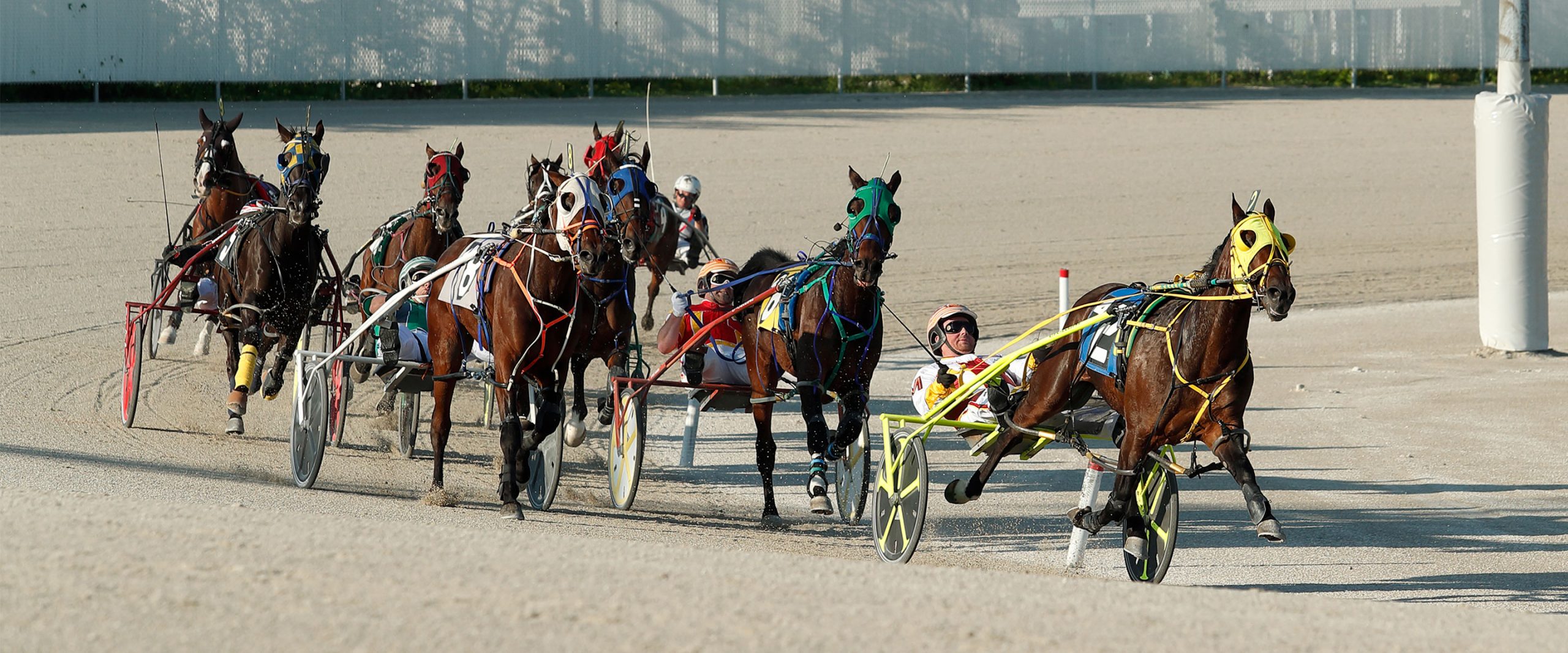 friday-harness-racing-action-from-northfield-park-w-shannon-sugar-doyle