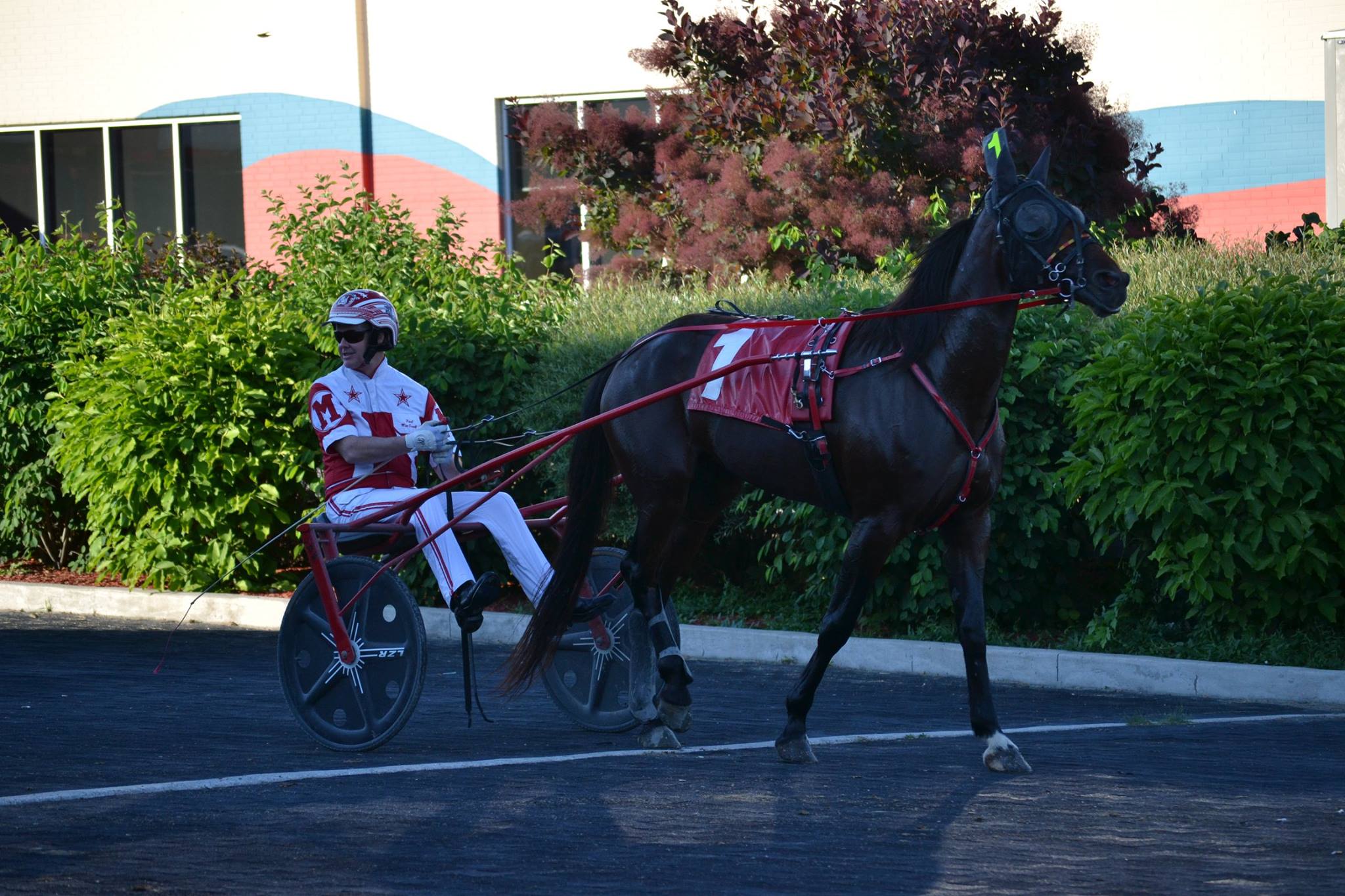 Holiday Monday|Woodbine Mohawk Park Selections