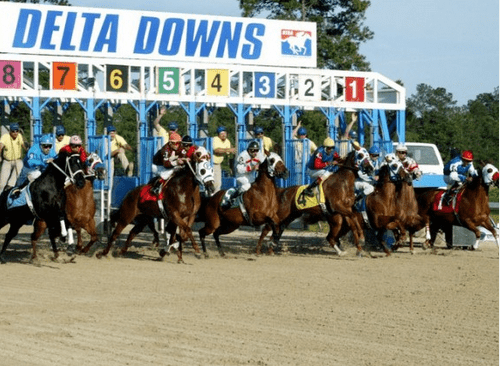 Delta Downs Race Track Selections Wed Dec 30th