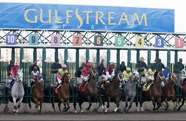 Friday Feb 12th Selections From Gulfstream Park