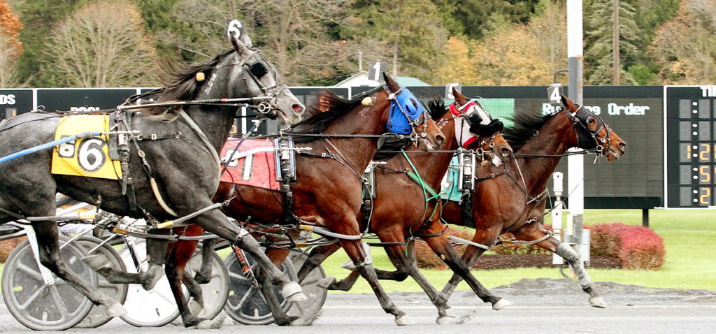 Saratoga Harness Selections|Tues,April- 20th,2021