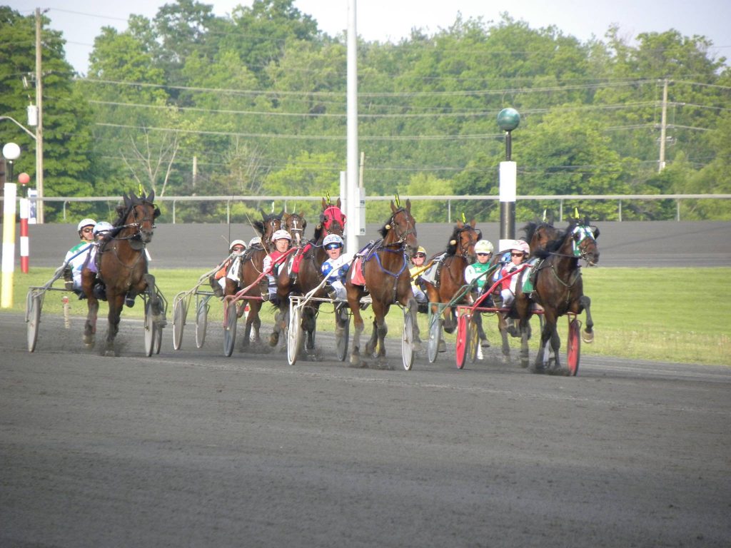 Thursday March 3rd,2022|Woodbine-Mohawk Park Selections